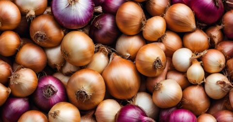 Onions Can Store Up to a Year