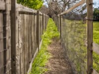 Fences to Keep Out Critters Caterpillars and Birds