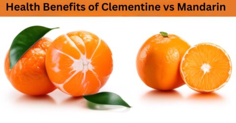 Health Benefits of Clementine vs Mandarin