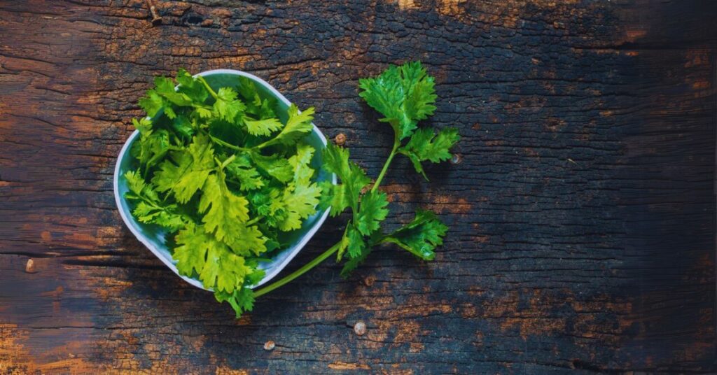 freeze parsley cilantro chives herbs