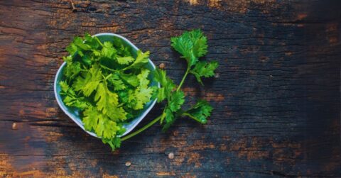 freeze parsley cilantro chives herbs