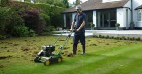 Scarifying a lawn