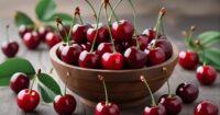 when are cherries in season