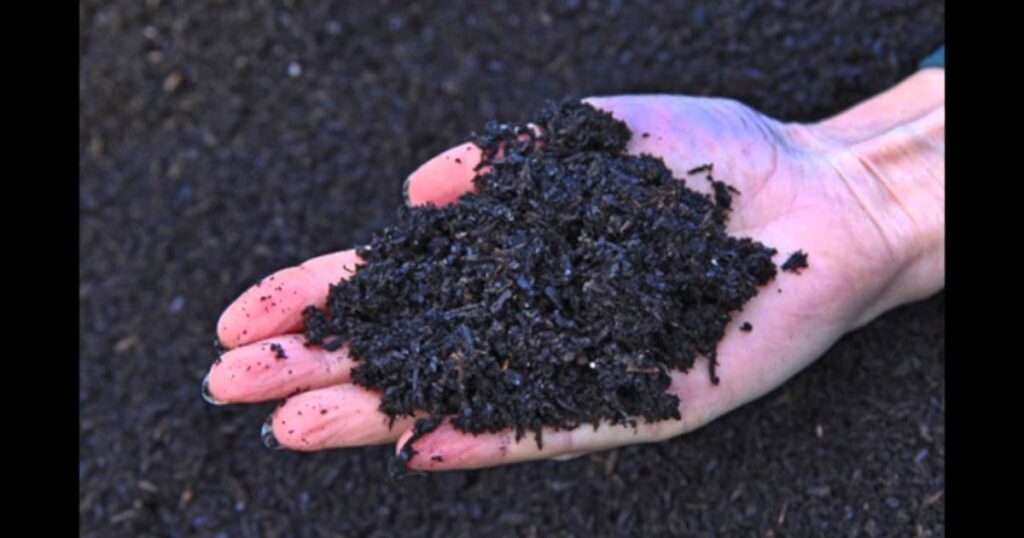 what is biochar used for