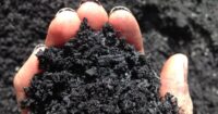 what is biochar used for