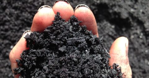 what is biochar used for