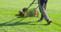 how to fix your grass