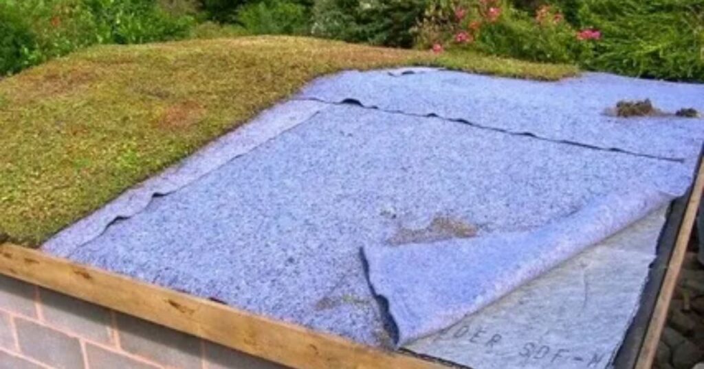 drainage layer in green roof