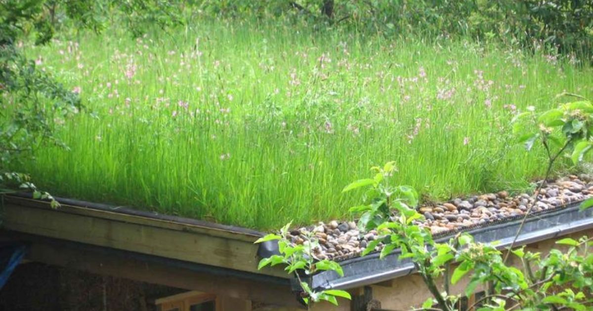 drainage layer in green roof
