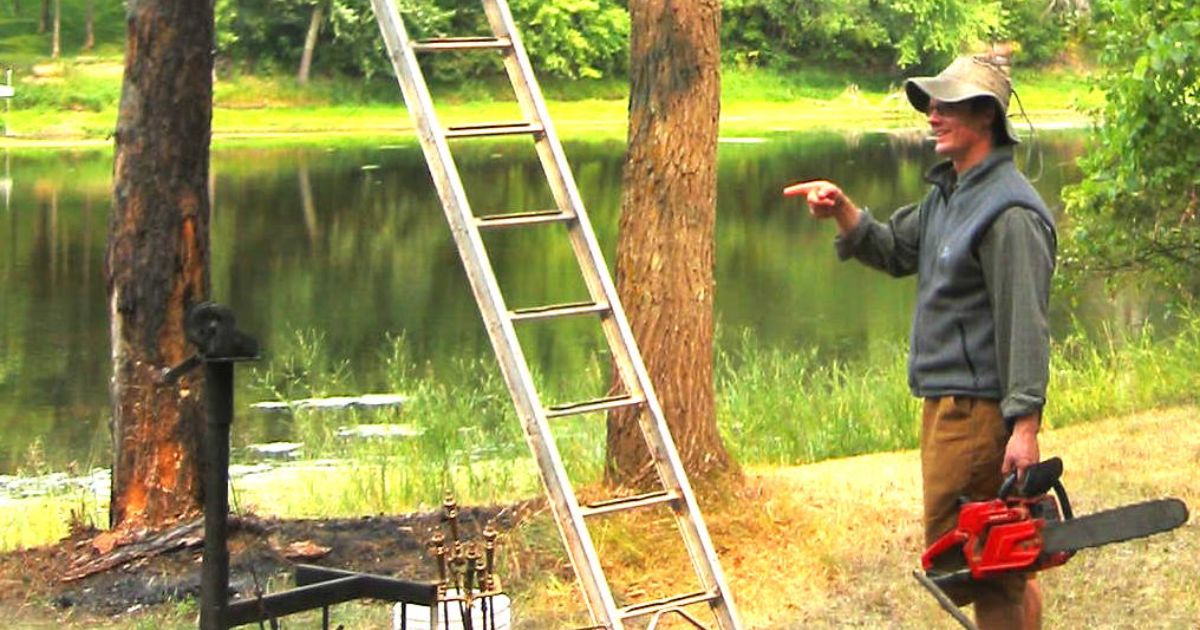 how to trim a tree that is too tall