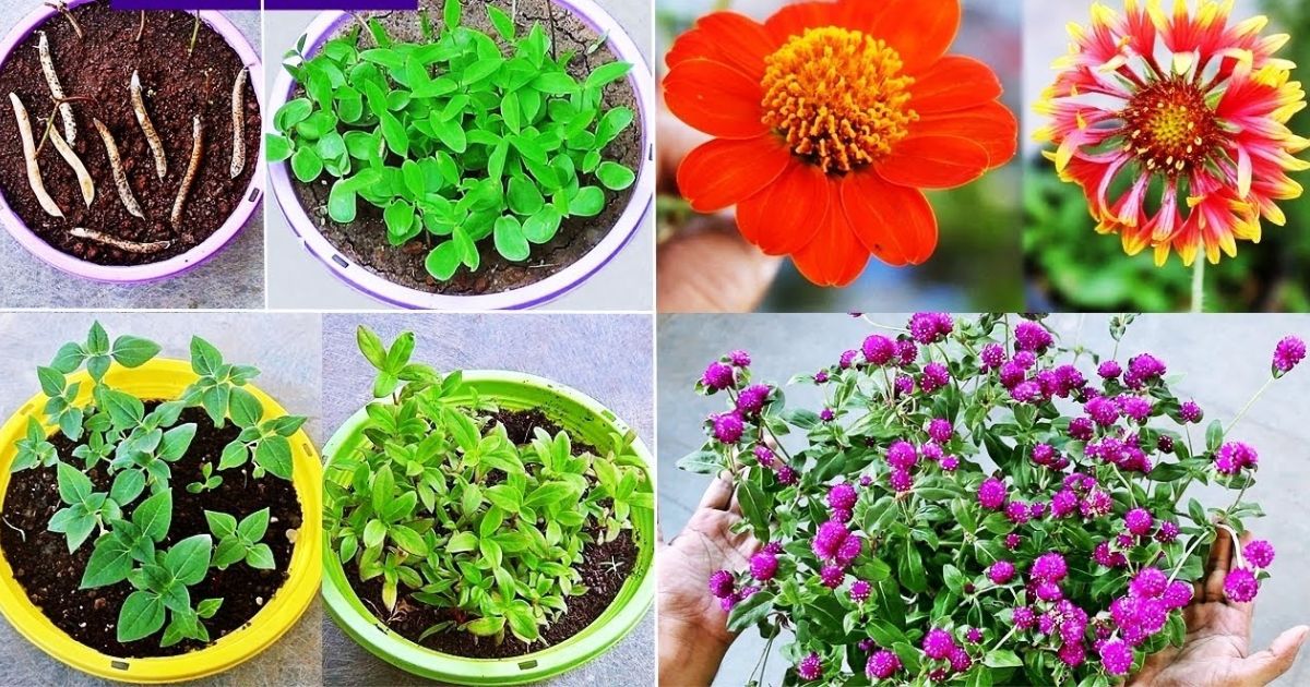 how to learn how to garden