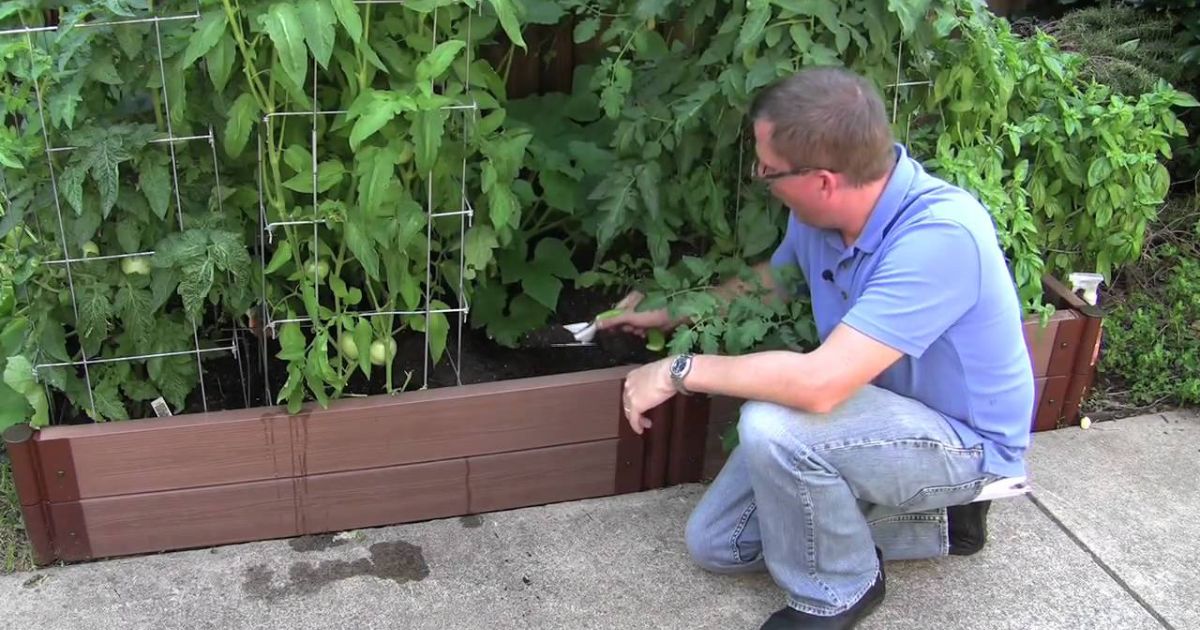 how to learn how to garden