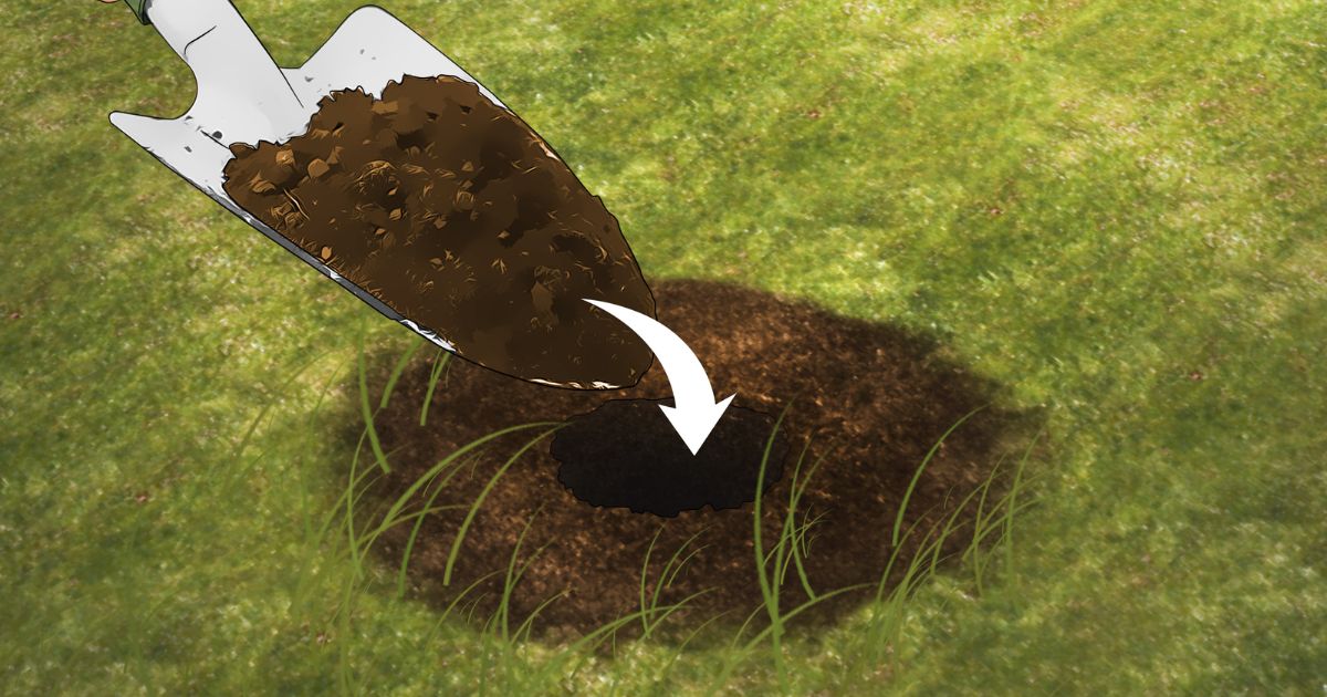 how to get rid of ground elder