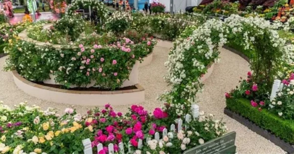 when is chelsea flower show