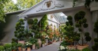 hotels close to chelsea flower show