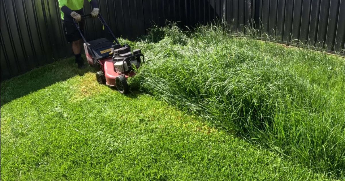 how to cut very tall grass