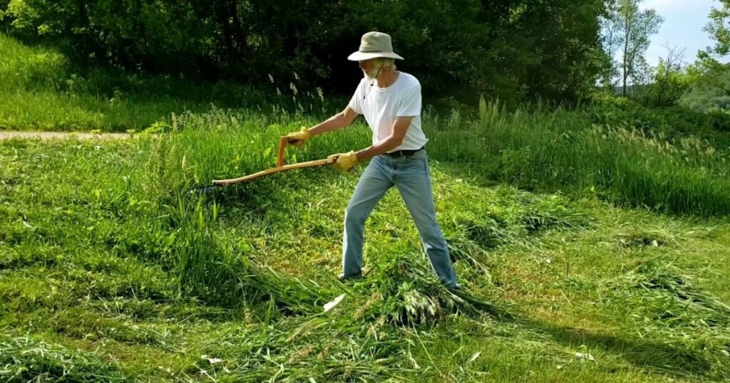 how to cut very tall grass