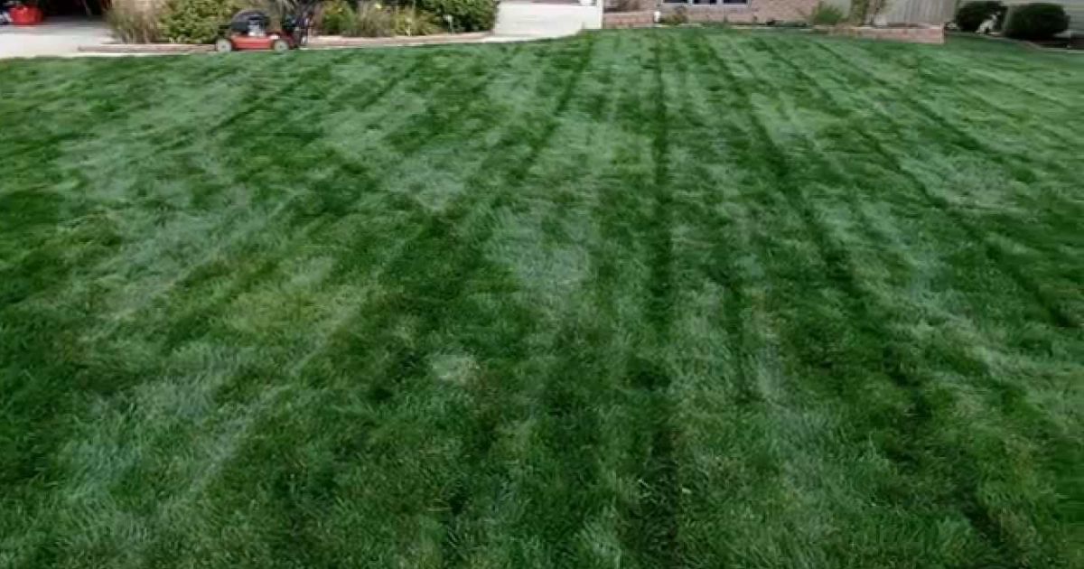 how to cut very tall grass