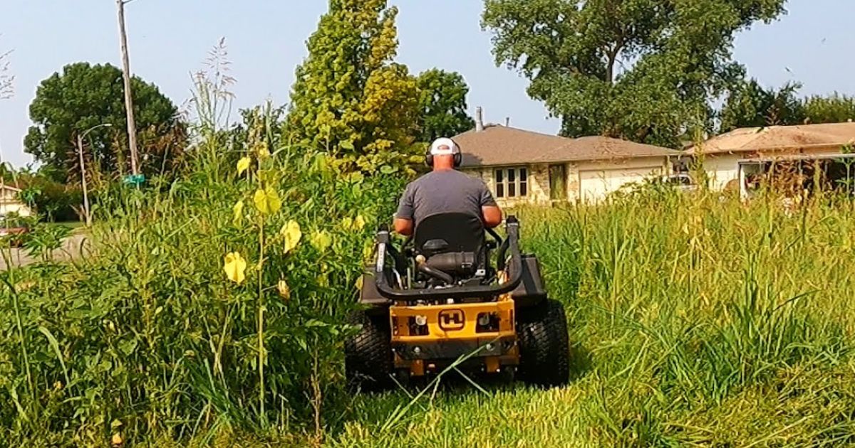 how to cut very tall grass